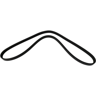 Serpentine Belt by SKP - SK040398 pa1