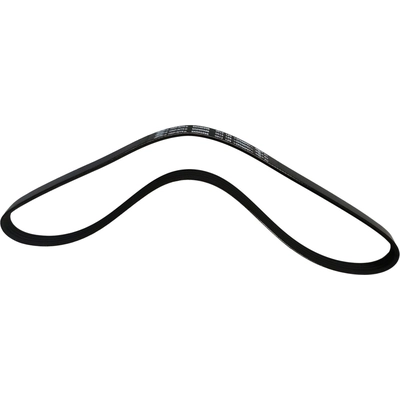 Serpentine Belt by SKP - SK040398 pa2