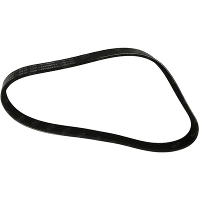 SKP - SK050264 - Serpentine Belt pa1