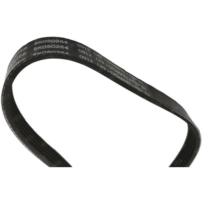 SKP - SK050264 - Serpentine Belt pa2
