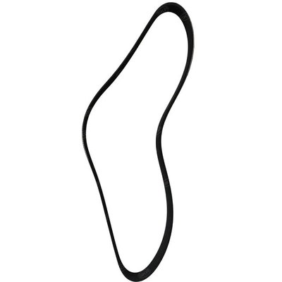 SKP - SK060393 - Serpentine Belt pa1