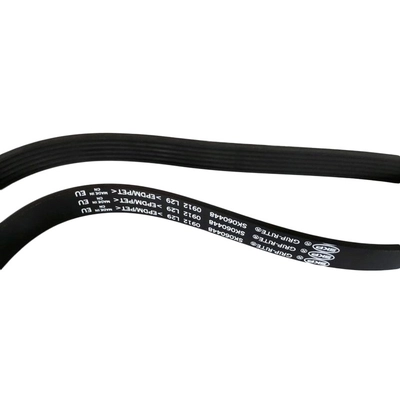 SKP - SK060448 - Serpentine Belt Anti-Slip Shield pa2