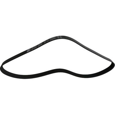 SKP - SK060461 - Serpentine Belt pa4