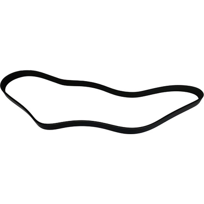 Serpentine Belt by SKP - SK060473 pa4