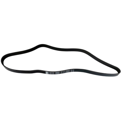 SKP - SK060535 - Serpentine Belt Anti-Slip Shield pa1