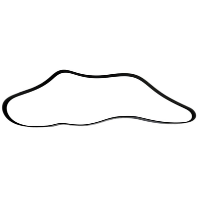 SKP - SK060535 - Serpentine Belt Anti-Slip Shield pa2