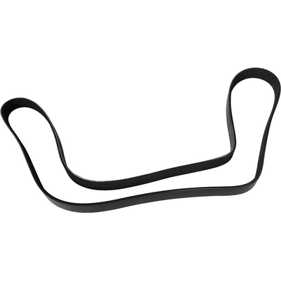 Serpentine Belt by SKP - SK060605 pa3