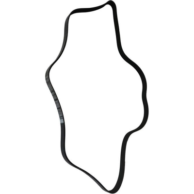 Serpentine Belt by SKP - SK060739 pa3