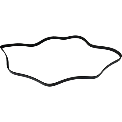 Serpentine Belt by SKP - SK060744 pa1