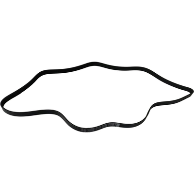 Serpentine Belt by SKP - SK060744 pa2