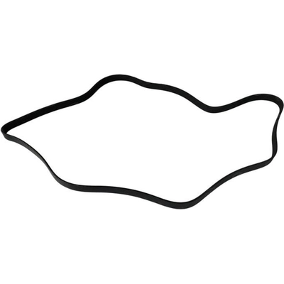 Serpentine Belt by SKP - SK060785 pa3