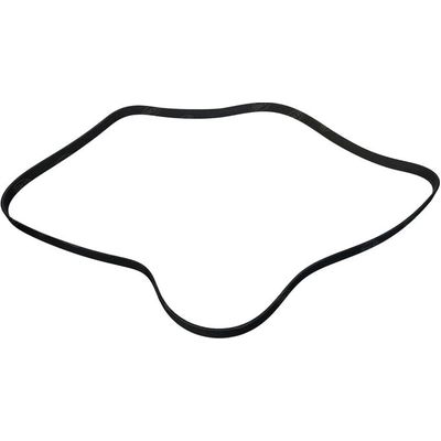 Serpentine Belt by SKP - SK060795HD pa1