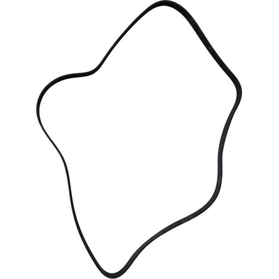 Serpentine Belt by SKP - SK060795HD pa2