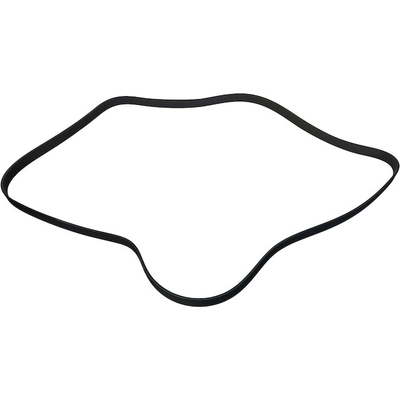 Serpentine Belt by SKP - SK060795HD pa4