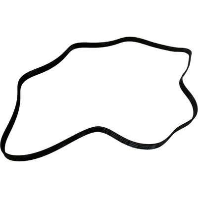 SKP - SK060822 - Serpentine Belt pa1