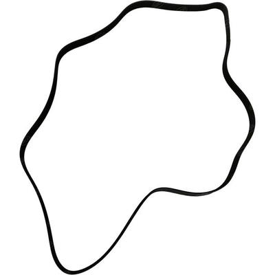 SKP - SK060822 - Serpentine Belt pa2