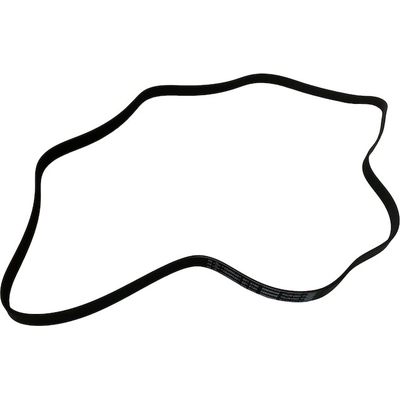 SKP - SK060822 - Serpentine Belt pa4