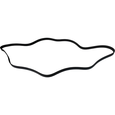 Serpentine Belt by SKP - SK060824 pa5