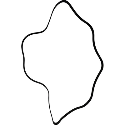 SKP - SK060863 - Serpentine Belt pa2