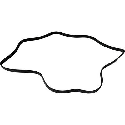 SKP - SK060864 - Serpentine Belt pa1