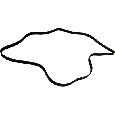 SKP - SK060874 - Serpentine Belt pa4