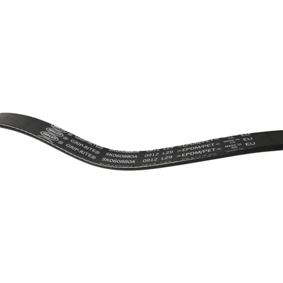 SKP - SK060880A - Serpentine Belt Anti-Slip Shield pa2