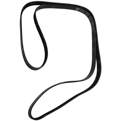 SKP - SK060905 - Serpentine Belt pa3