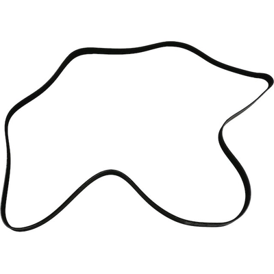 SKP - SK060905 - Serpentine Belt pa4