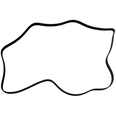 SKP - SK060930 - Serpentine Belt Anti-Slip Shield pa1