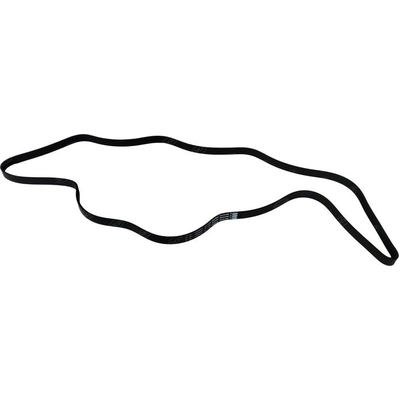 SKP - SK060950 - Serpentine Belt pa1
