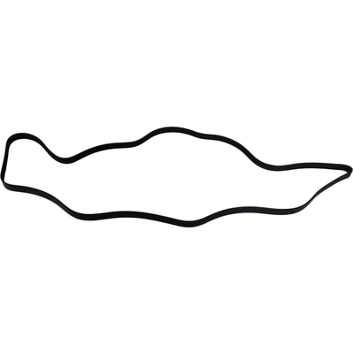 SKP - SK060950 - Serpentine Belt pa2