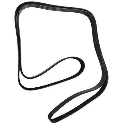 SKP - SK060990 - Serpentine Belt pa3