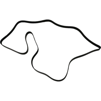 SKP - SK060990 - Serpentine Belt pa5