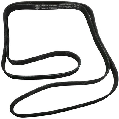 SKP - SK060990HD - Serpentine Belt pa2