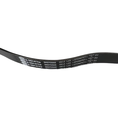 SKP - SK070566 - Serpentine Belt Anti-Slip Shield pa2