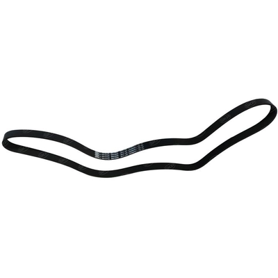 SKP - SK070663 - Serpentine Belt pa3