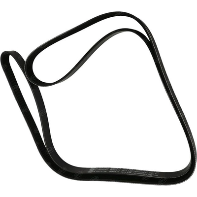 SKP - SK070683 - Serpentine Belt pa1