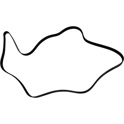 SKP - SK070683 - Serpentine Belt pa2