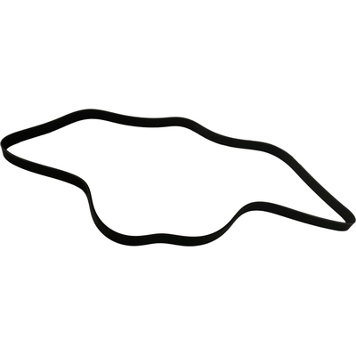 Serpentine Belt by SKP - SK070685 pa2