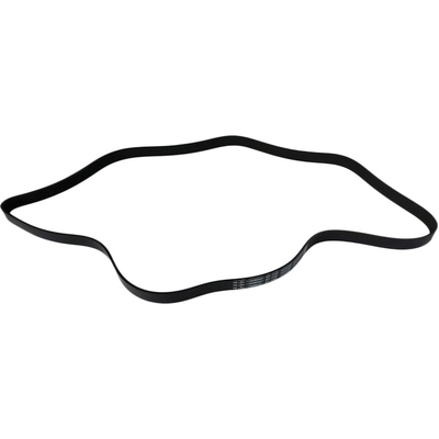 SKP - SK070721 - Serpentine Belt pa2