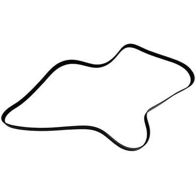 SKP - SK070834 - Serpentine Belt Anti-Slip Shield pa1