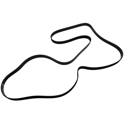 SKP - SK071013 - Serpentine Belt Anti-Slip Shield pa1