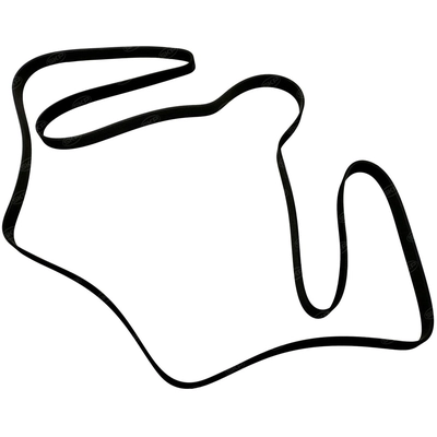 SKP - SK081264HD - Serpentine Belt pa1