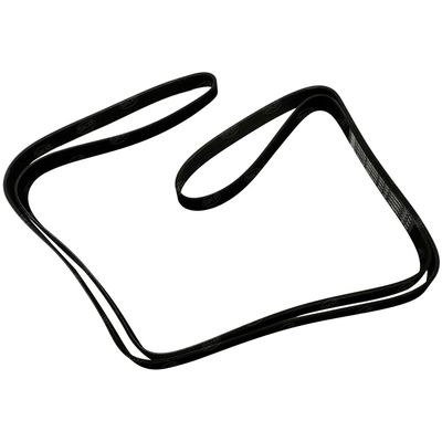 SKP - SK081264HD - Serpentine Belt pa2