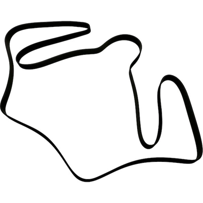 SKP - SK081264HD - Serpentine Belt pa3