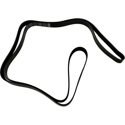 Serpentine Belt by SKP - SK081265 pa2