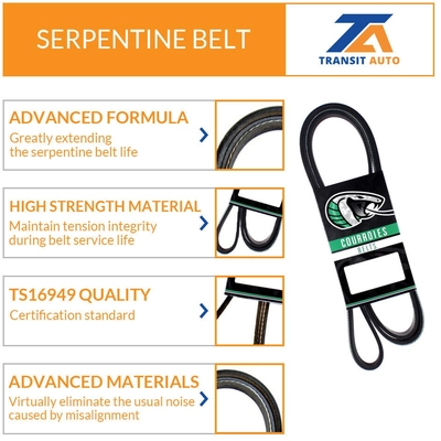 TRANSIT WAREHOUSE - KBR-5060695 - Serpentine Belt pa2