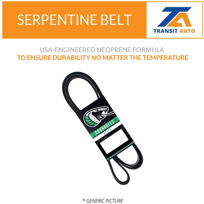 TRANSIT WAREHOUSE - KBR-5061005 - Serpentine Belt pa2