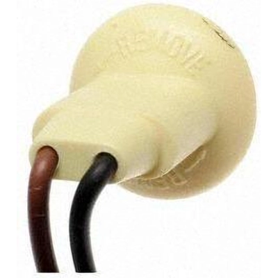 Side Marker Light Socket by BLUE STREAK (HYGRADE MOTOR) - HP4060 pa32