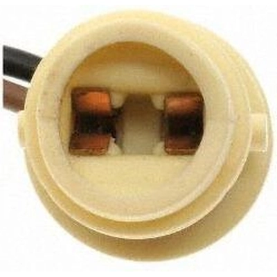 Side Marker Light Socket by BLUE STREAK (HYGRADE MOTOR) - HP4080 pa11